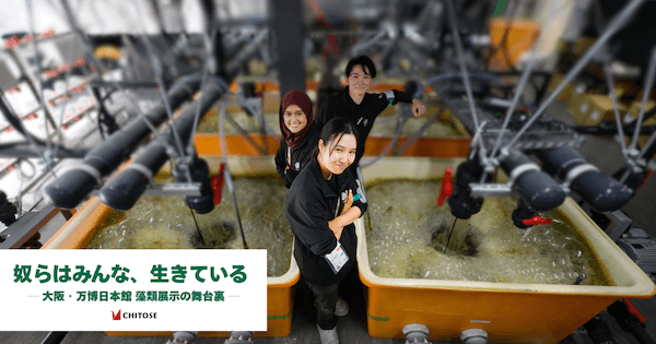 奴らはみんな、生きている ― 大阪・関西万博日本館 藻類展示の舞台裏 ―