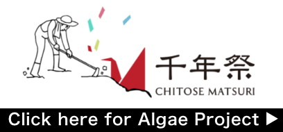 CHITOSE MATSURI Click here for Algae Project