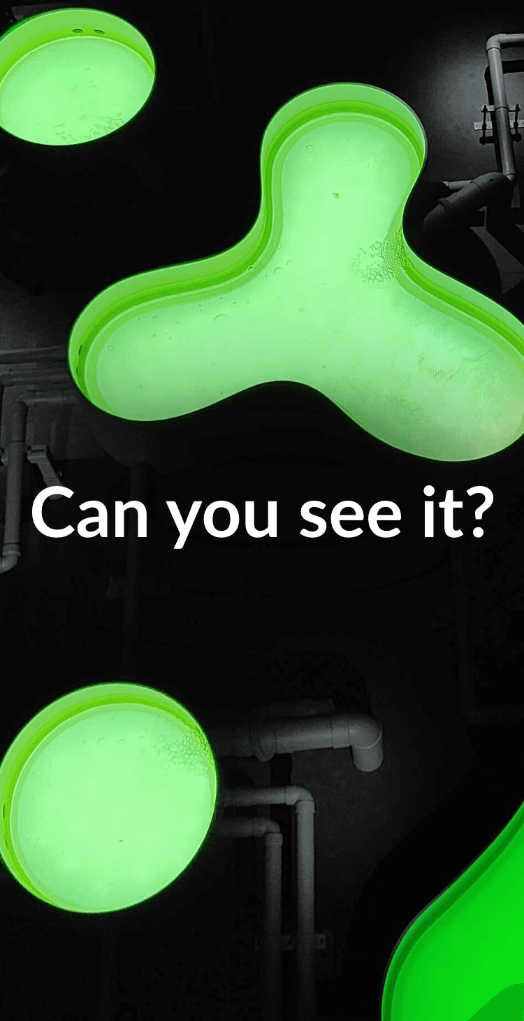Can you see it?