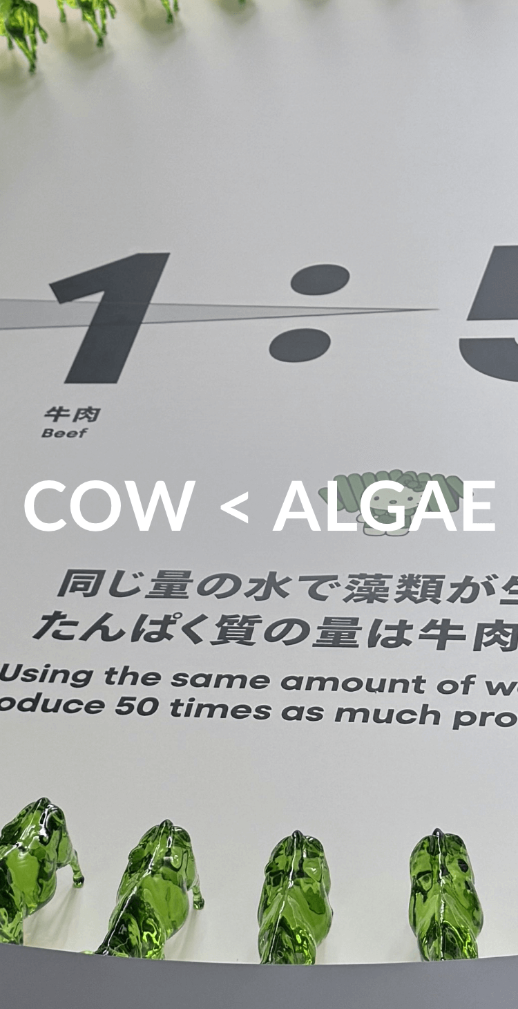 COW < ALGAE