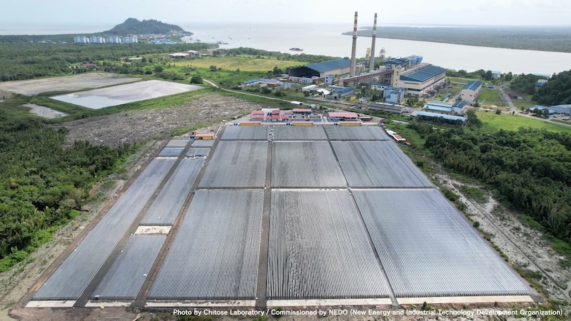 Building the microalgae-based industry to realize a circular society