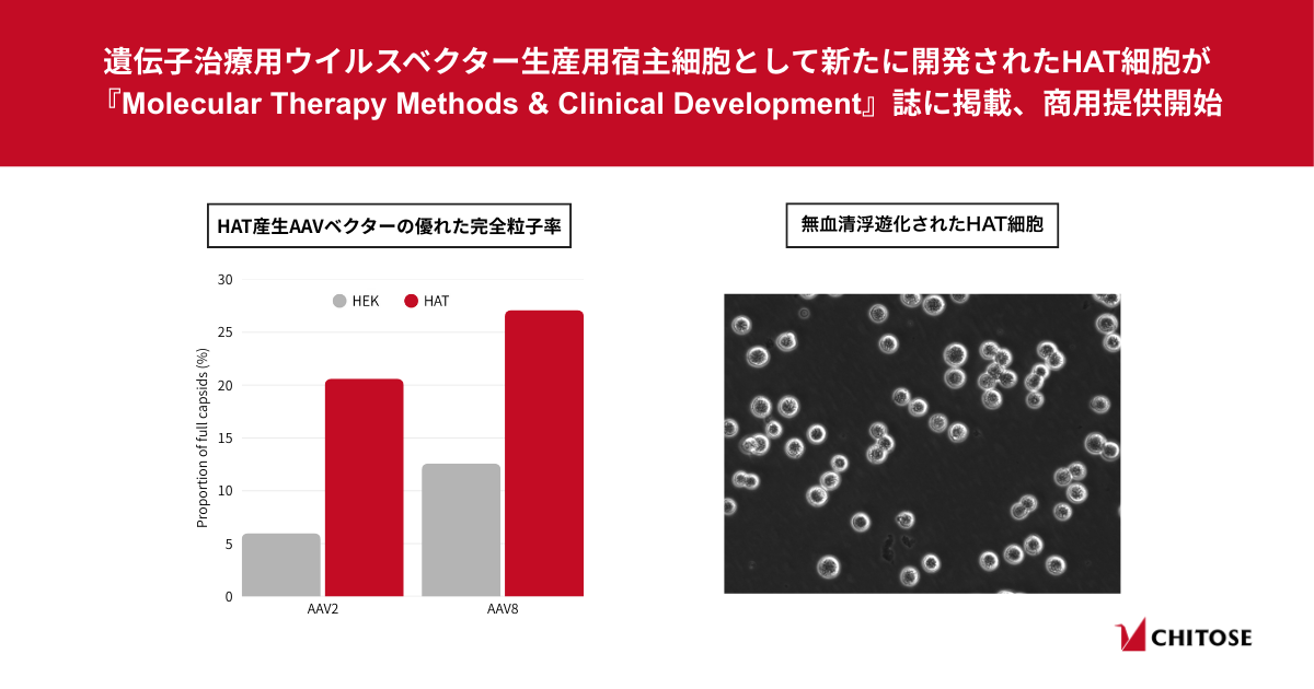 遺伝子治療用ウイルスベクター生産用宿主細胞として新たに開発された