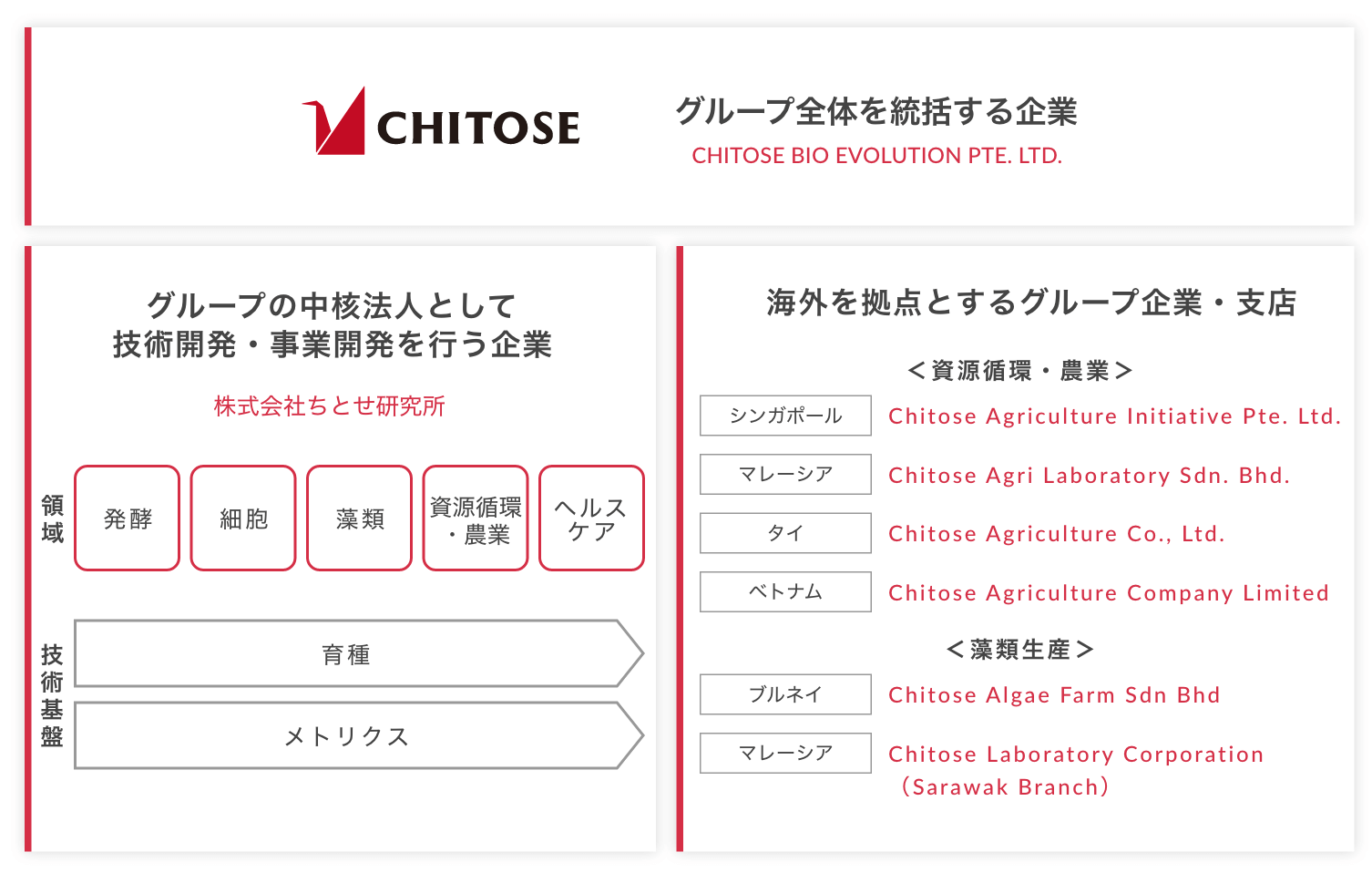 CHITOSEグループ組織図